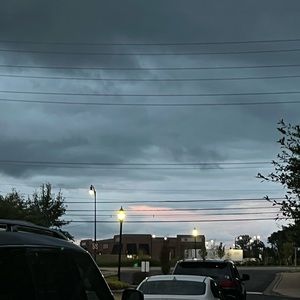 Meet your Posher, Isabella